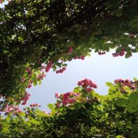 評論圖片 5