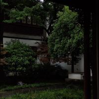 評論圖片 8