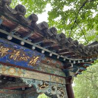 評論圖片 5