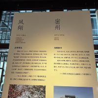 評論圖片 5