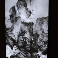 評論圖片 5