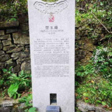 評論圖片 4
