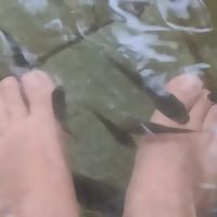 評論圖片 5
