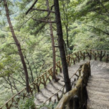 評論圖片 9