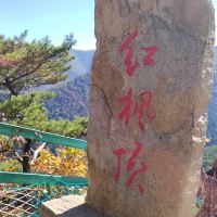評論圖片 9