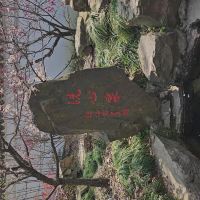 評論圖片 4