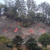 評論圖片 1