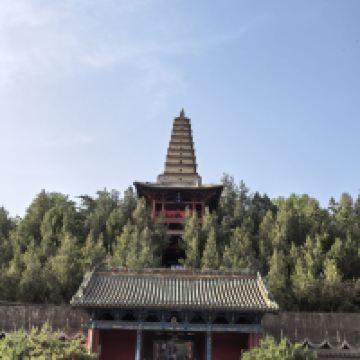 評論圖片 9