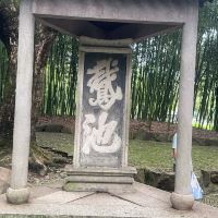 評論圖片 7