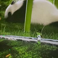 評論圖片 1