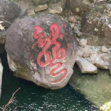 評論圖片 5