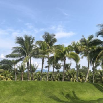 評論圖片 3