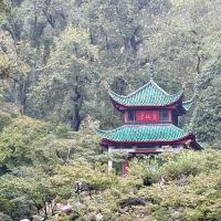 評論圖片 7