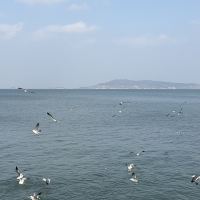 評論圖片 1
