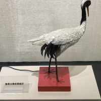評論圖片 6