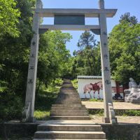 評論圖片 4