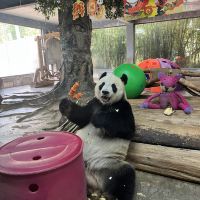 評論圖片 4