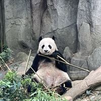 評論圖片 2