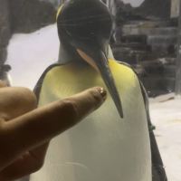 評論圖片 4