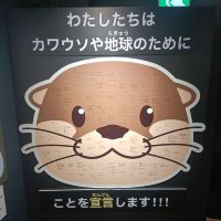 評論圖片 7
