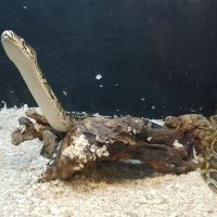 評論圖片 4
