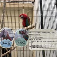 評論圖片 2