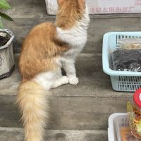 評論圖片 3