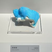 評論圖片 7