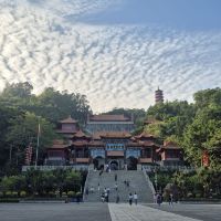 評論圖片 1