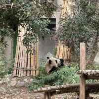 評論圖片 2