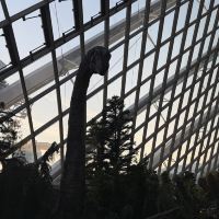 評論圖片 3