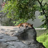 評論圖片 2
