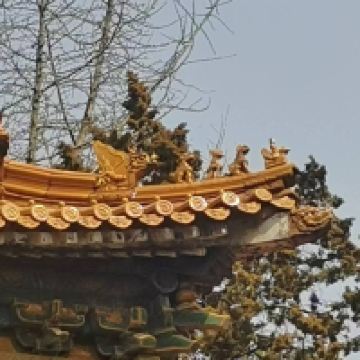 評論圖片 6