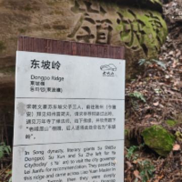 評論圖片 2