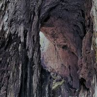 評論圖片 1