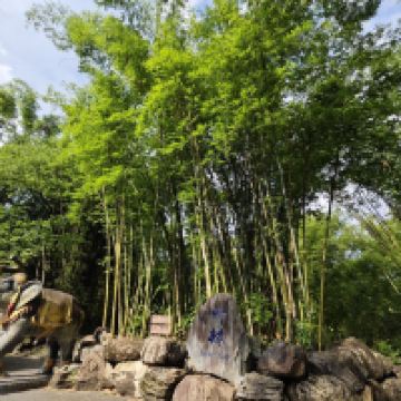 評論圖片 7
