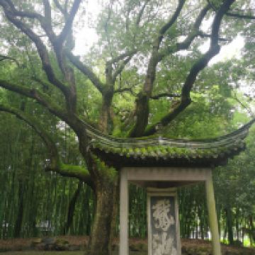 評論圖片 1