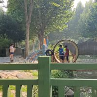 評論圖片 7