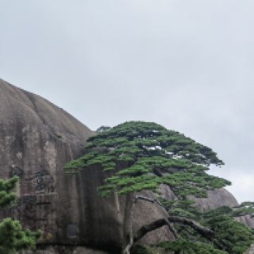 評論圖片 5