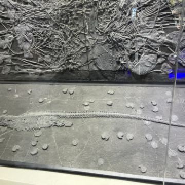 評論圖片 2