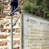 評論圖片 8