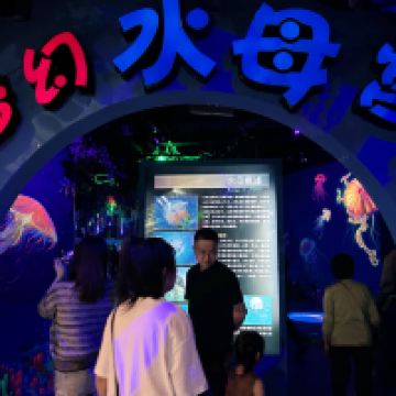 評論圖片 6