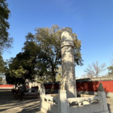 評論圖片 8
