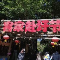 評論圖片 8