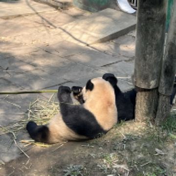 評論圖片 5