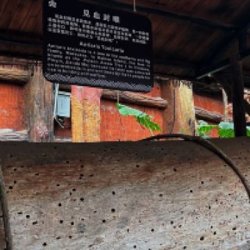 評論圖片 6