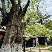 評論圖片 3