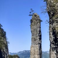 評論圖片 4