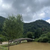 評論圖片 5