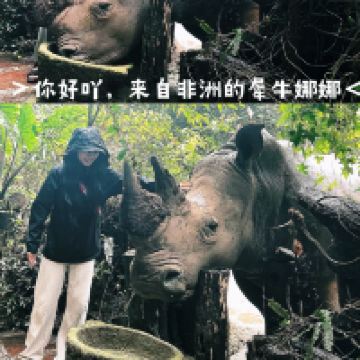 評論圖片 2